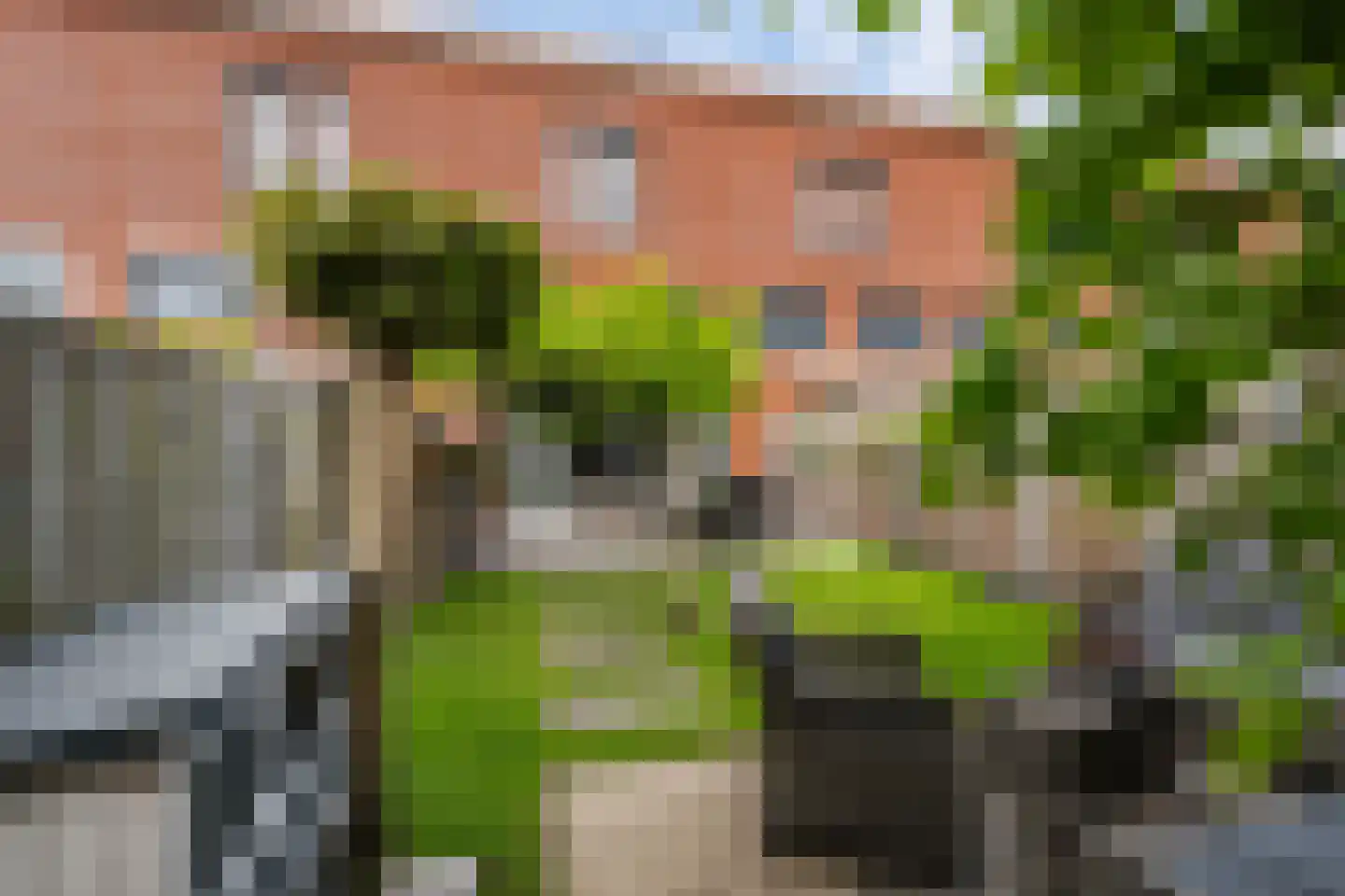 Pepermuntstraat 4 Wateringen thumbnail 14