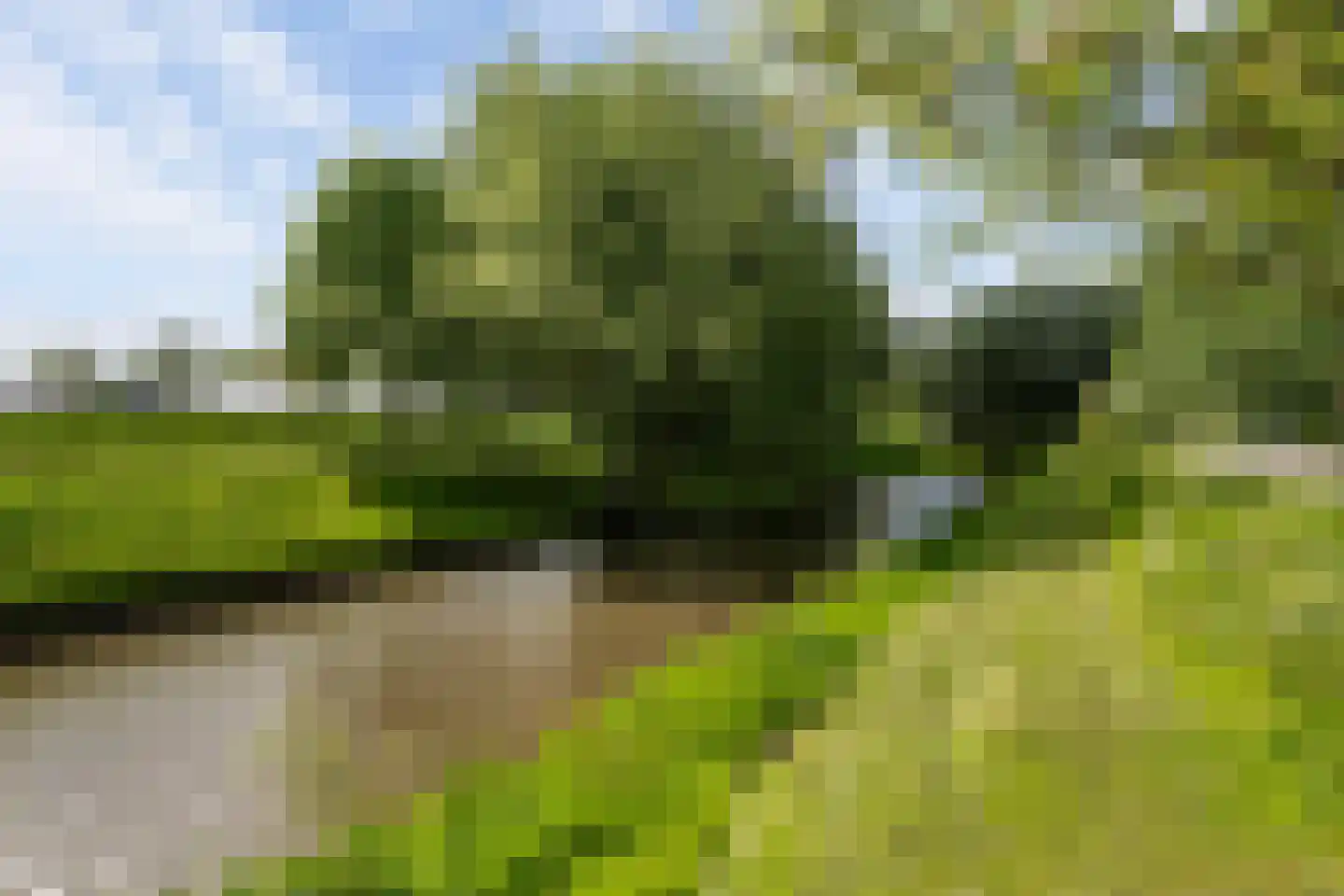 Pepermuntstraat 4 Wateringen thumbnail 38