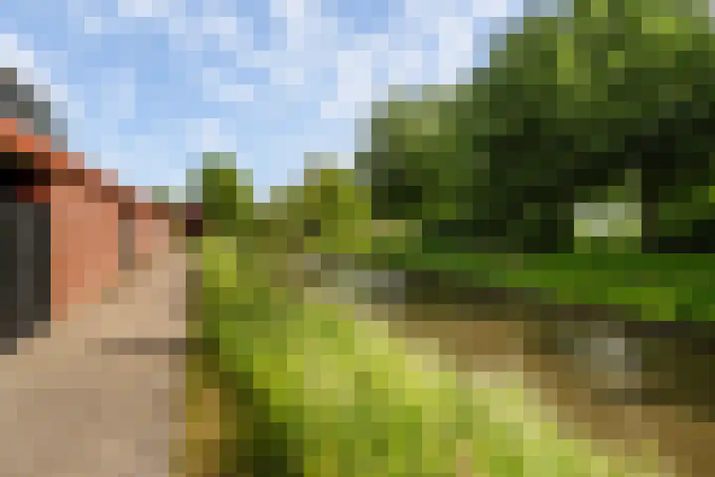 Pepermuntstraat 4 Wateringen thumbnail 39