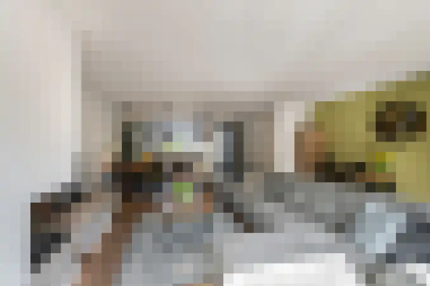 Pepermuntstraat 4 Wateringen thumbnail 4