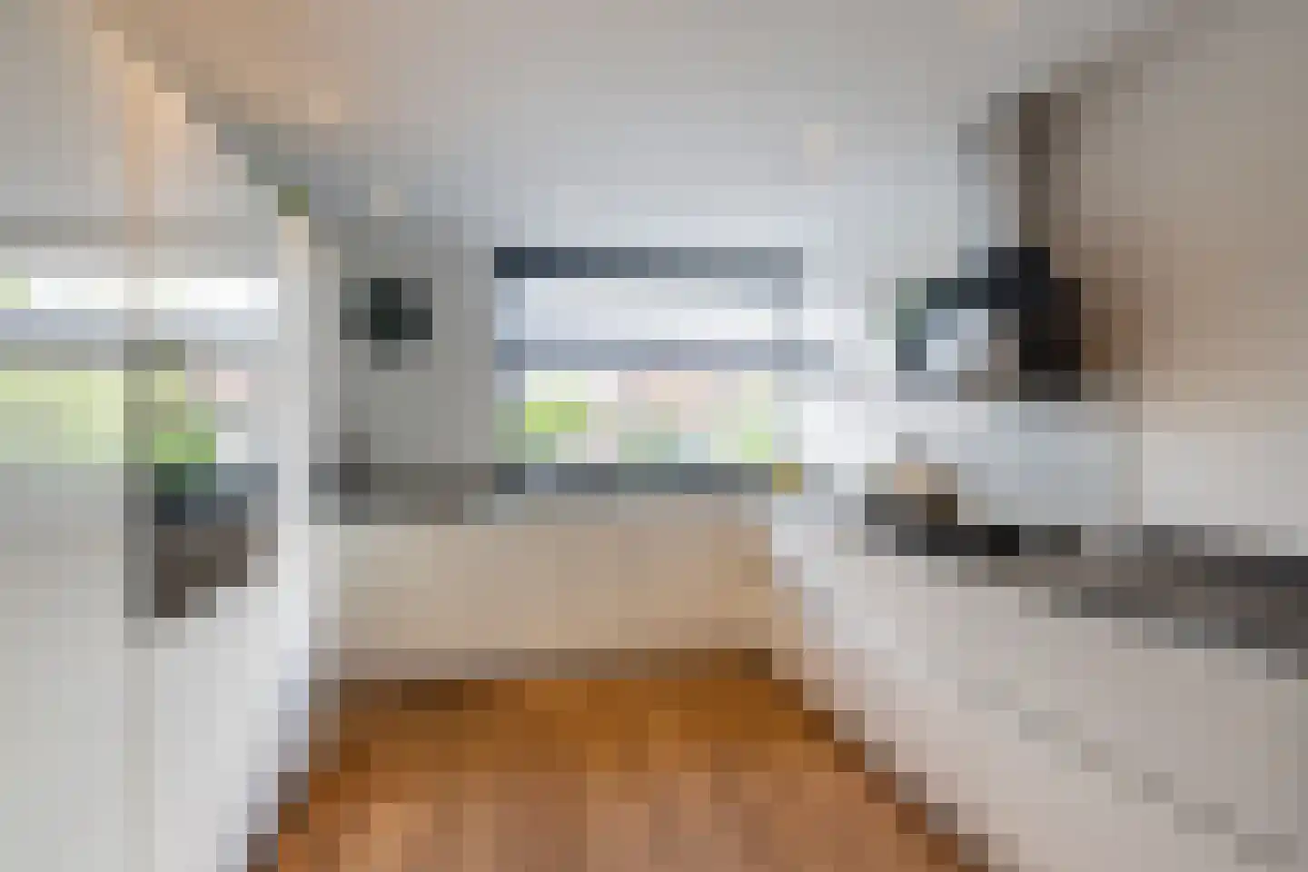 Pepermuntstraat 4 Wateringen thumbnail 6