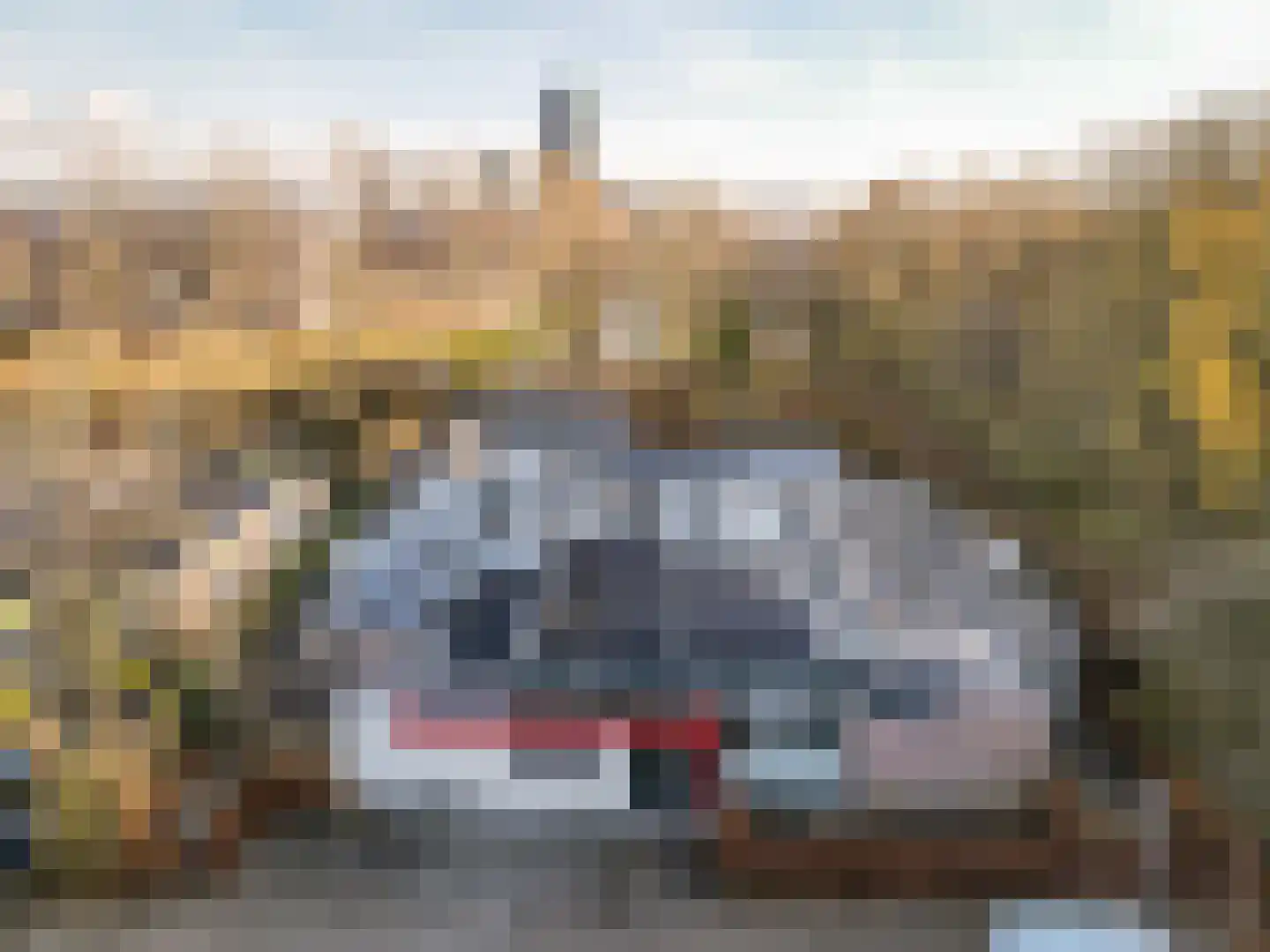Pepermuntstraat 7 Almere thumbnail 31