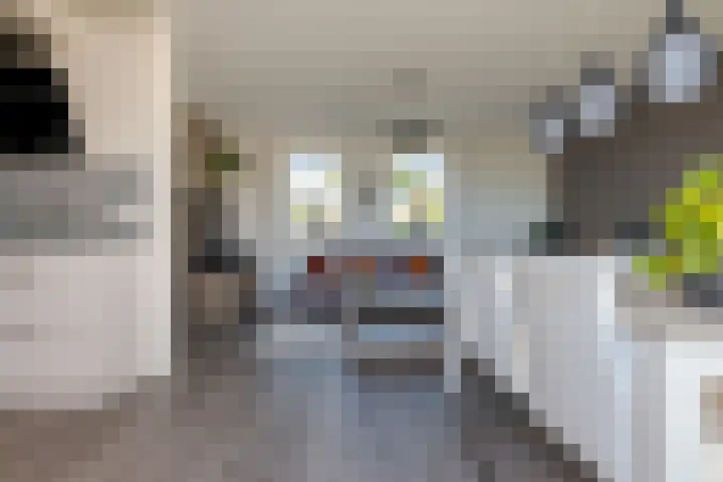 Pepermuntweg 22 Zwolle thumbnail 15