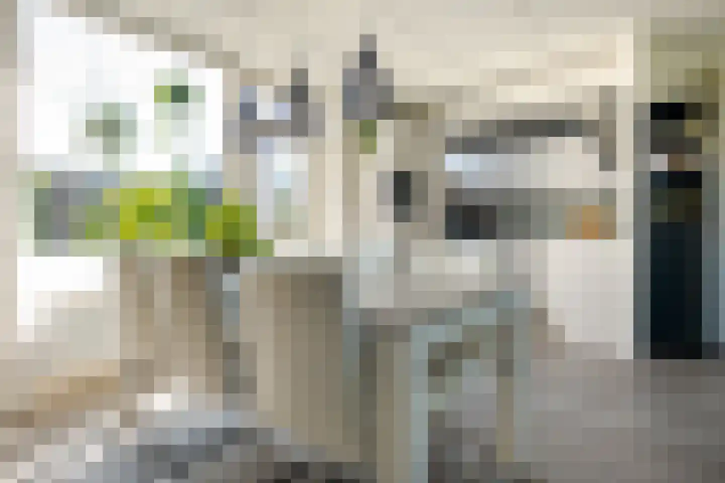 Pepermuntweg 22 Zwolle thumbnail 16