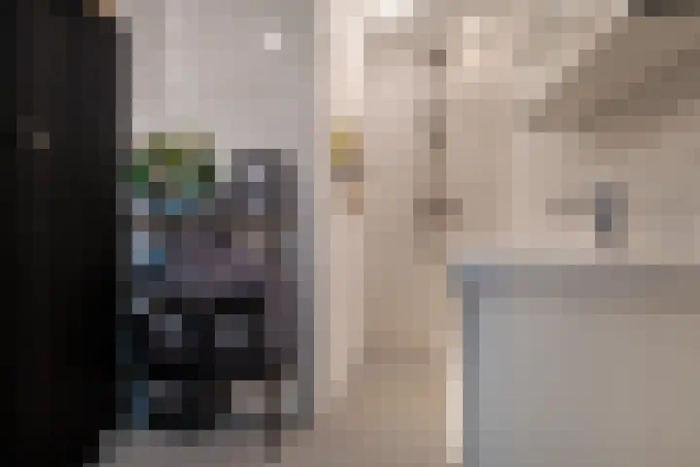 Pepermuntweg 22 Zwolle thumbnail 32
