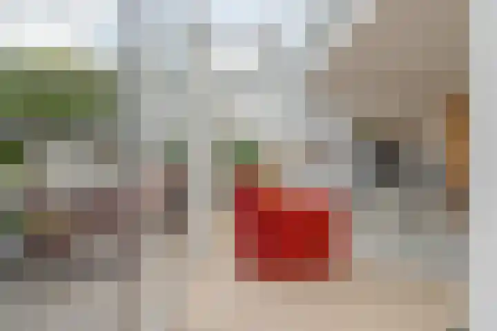 Pepermuntweg 32 Zwolle thumbnail 18