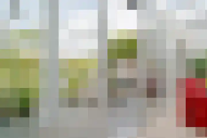Pepermuntweg 32 Zwolle thumbnail 24