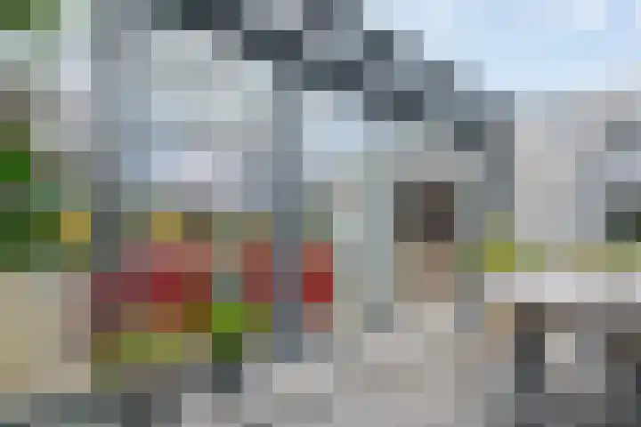 Pepermuntweg 32 Zwolle thumbnail 26