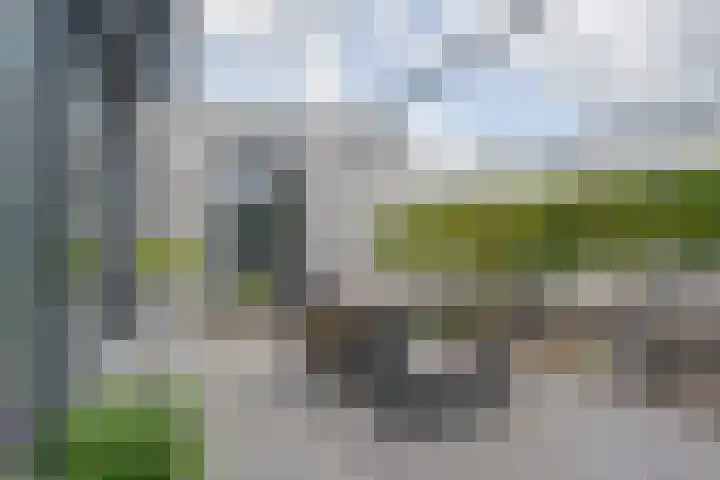 Pepermuntweg 32 Zwolle thumbnail 27