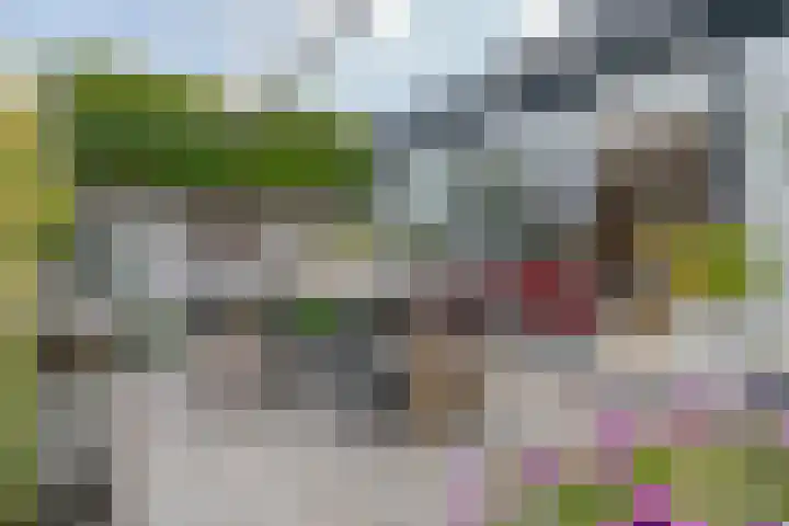 Pepermuntweg 32 Zwolle thumbnail 28