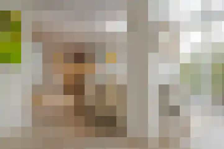 Pepermuntweg 32 Zwolle thumbnail 31