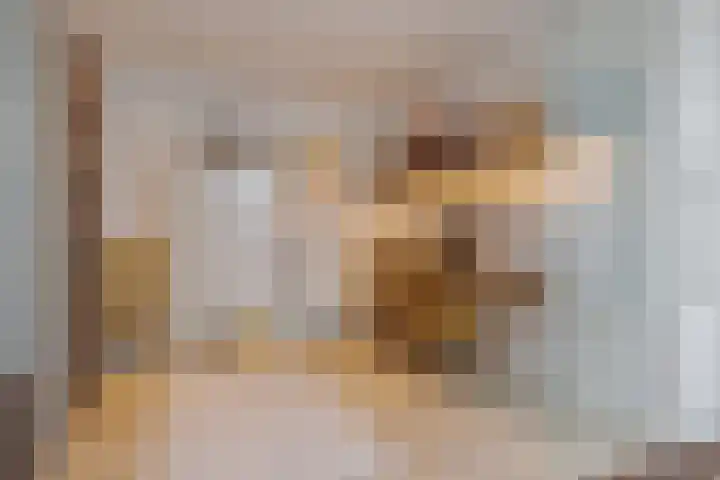 Pepermuntweg 32 Zwolle thumbnail 32