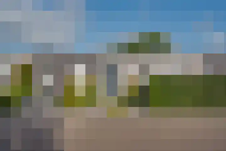 Pepermuntweg 32 Zwolle thumbnail 43