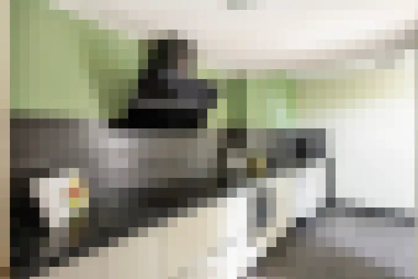 Pepermuntweg 49 Zwolle thumbnail 10
