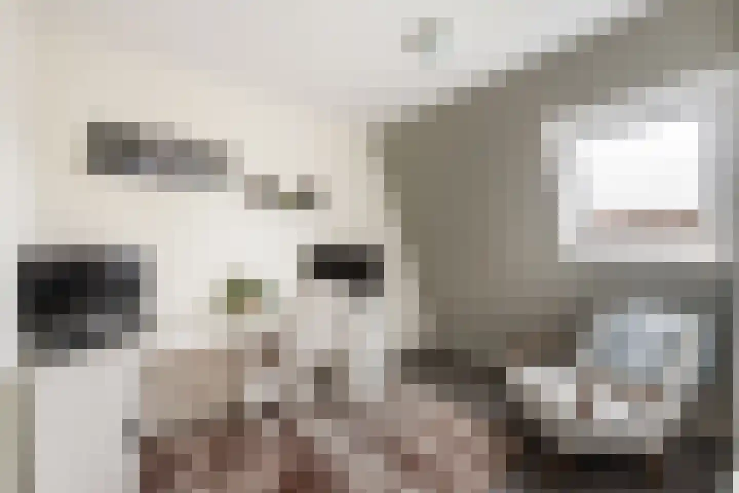 Pepermuntweg 49 Zwolle thumbnail 18
