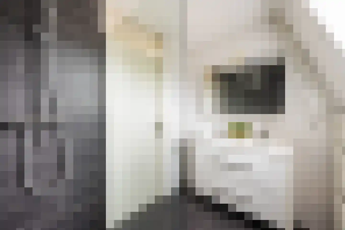 Pepermuntweg 49 Zwolle thumbnail 20