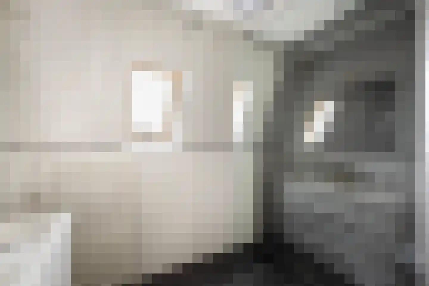Pepermuntweg 49 Zwolle thumbnail 21