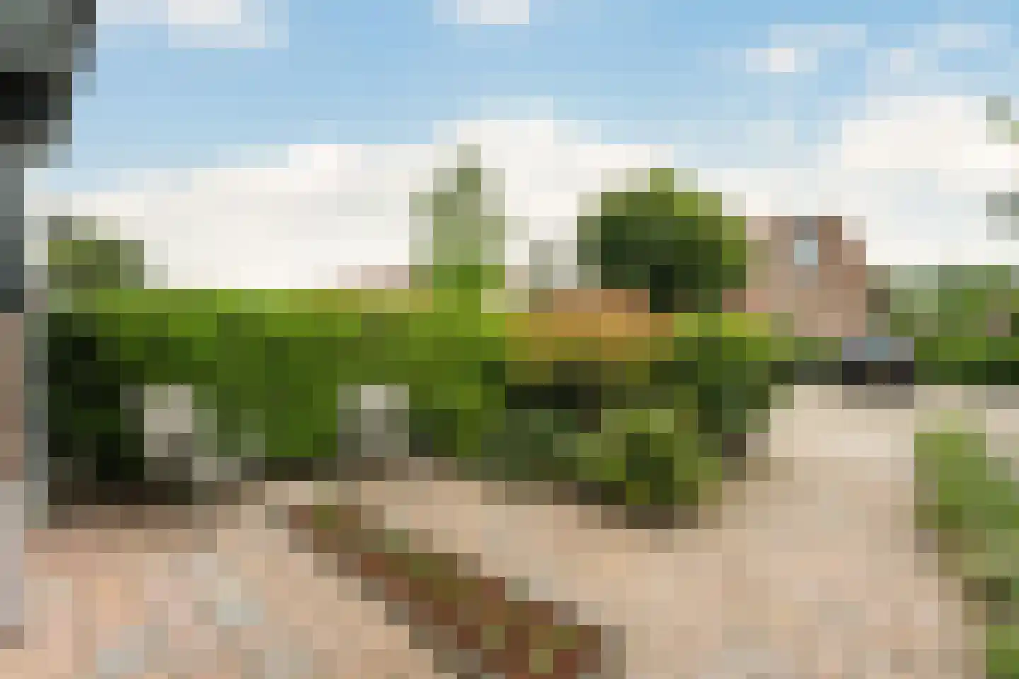 Pepermuntweg 49 Zwolle thumbnail 28