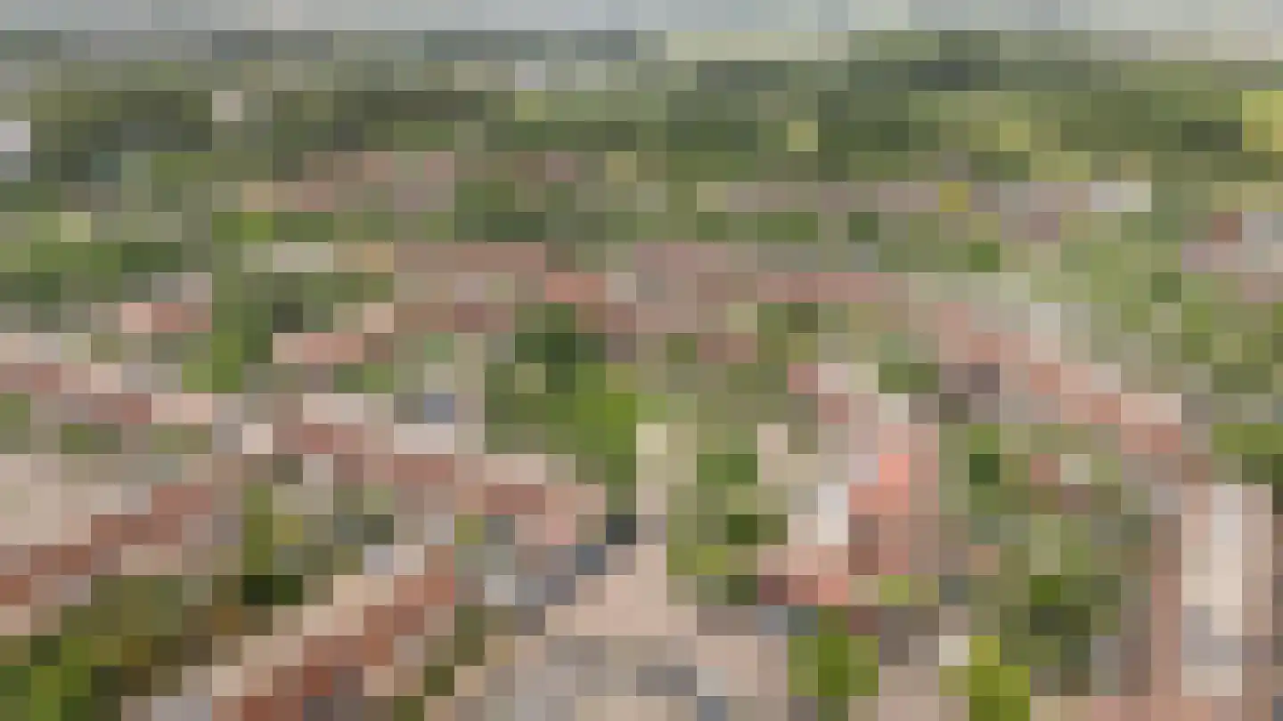 Pepermuntweg 49 Zwolle thumbnail 30