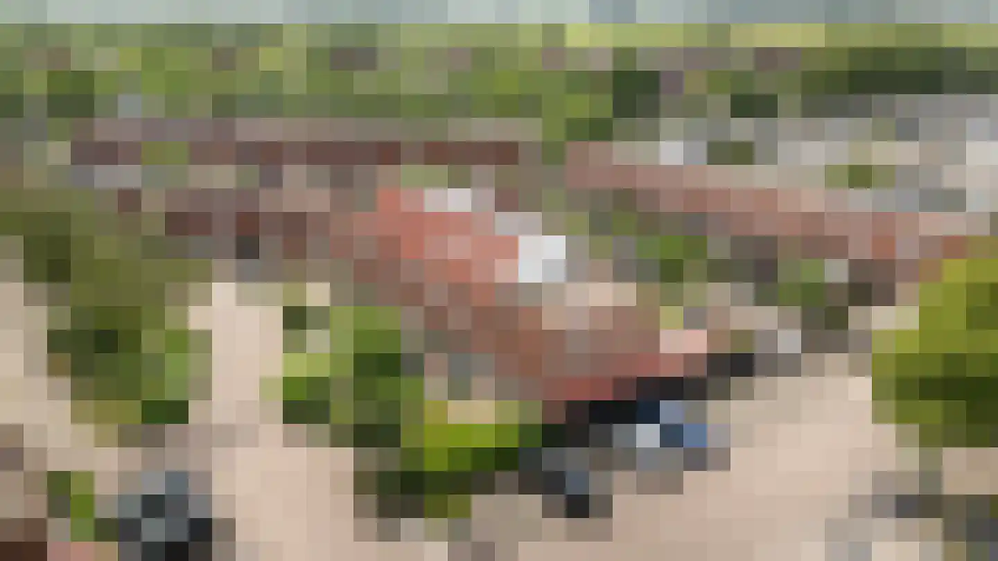 Pepermuntweg 49 Zwolle thumbnail 32
