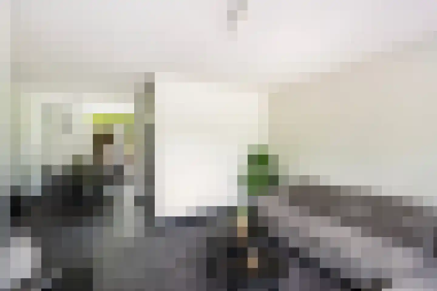 Pepermuntweg 49 Zwolle thumbnail 4