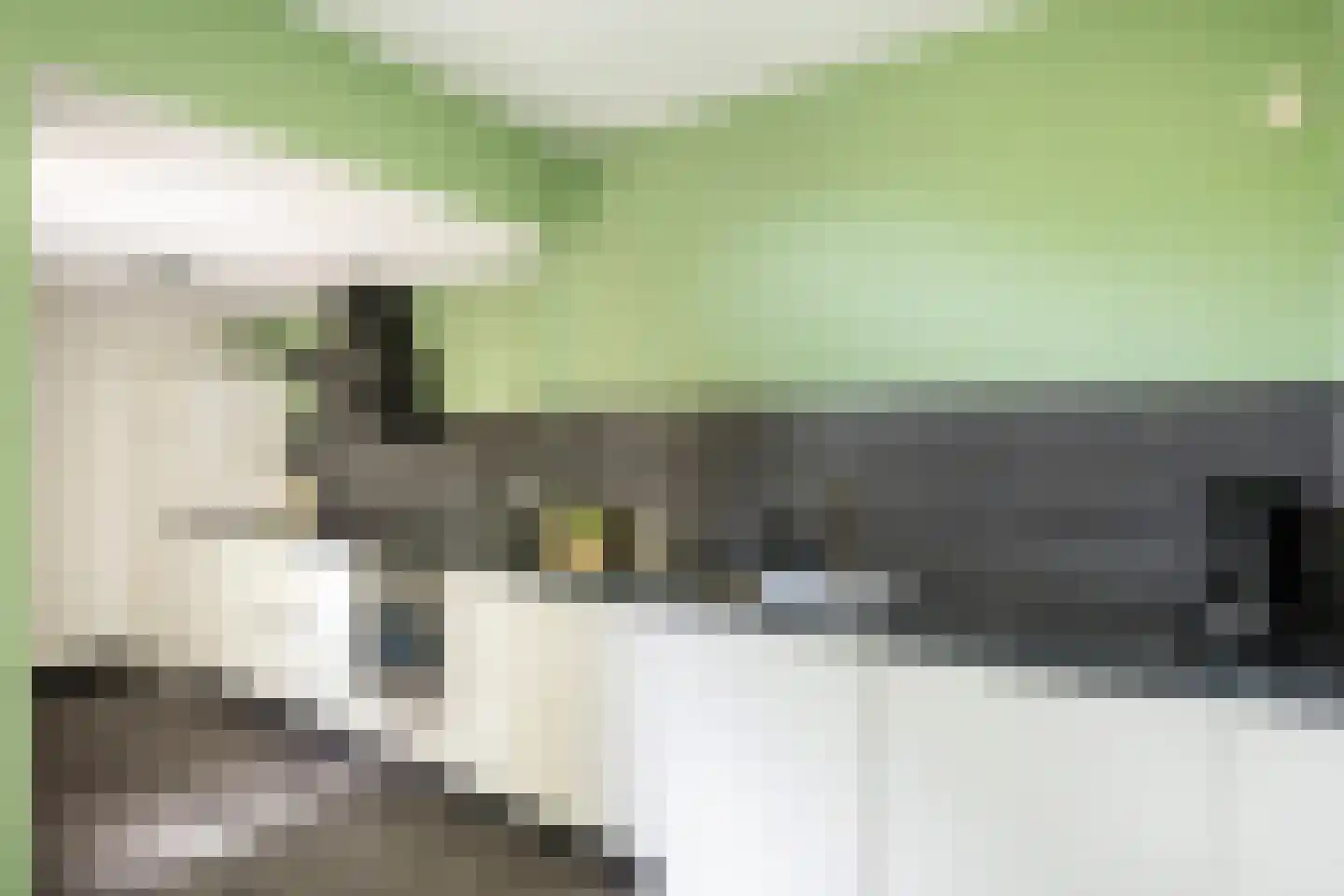 Pepermuntweg 49 Zwolle thumbnail 9