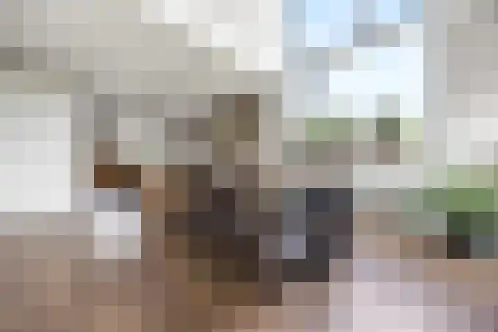 Pepersgoed 12 Putten thumbnail 11