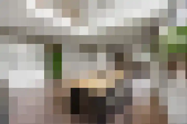 Pepersgoed 12 Putten thumbnail 12