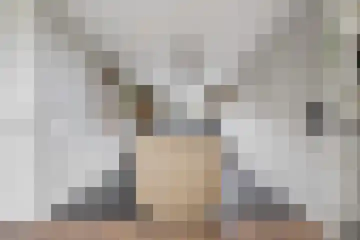 Pepersgoed 12 Putten thumbnail 14
