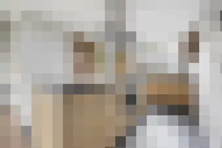 Pepersgoed 12 Putten thumbnail 15