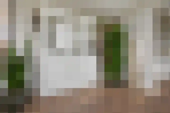 Pepersgoed 12 Putten thumbnail 18