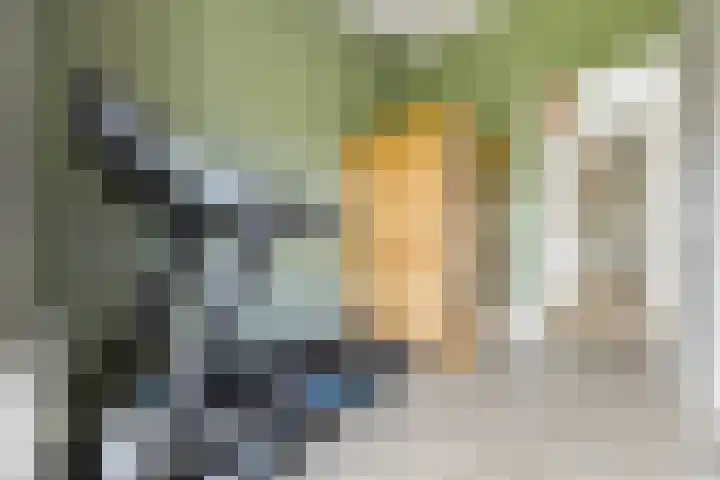 Pepersgoed 12 Putten thumbnail 26