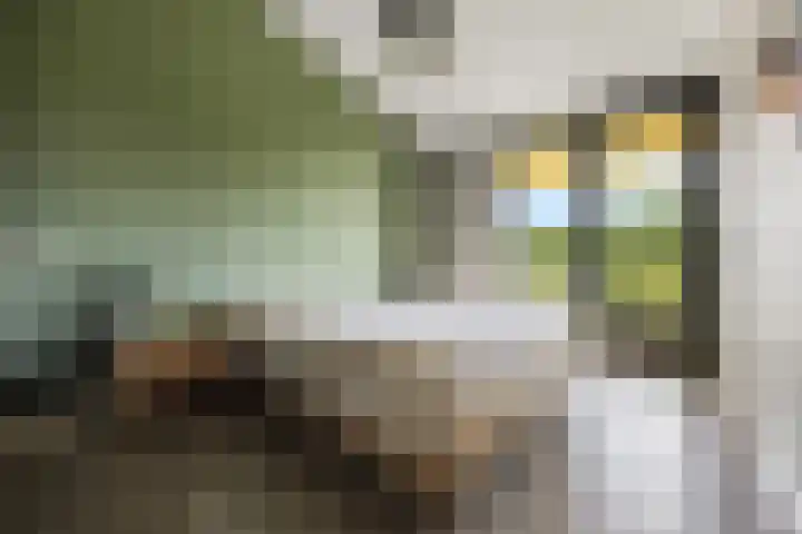 Pepersgoed 12 Putten thumbnail 27
