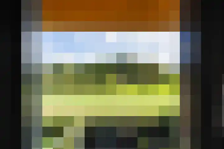 Pepersgoed 12 Putten thumbnail 28