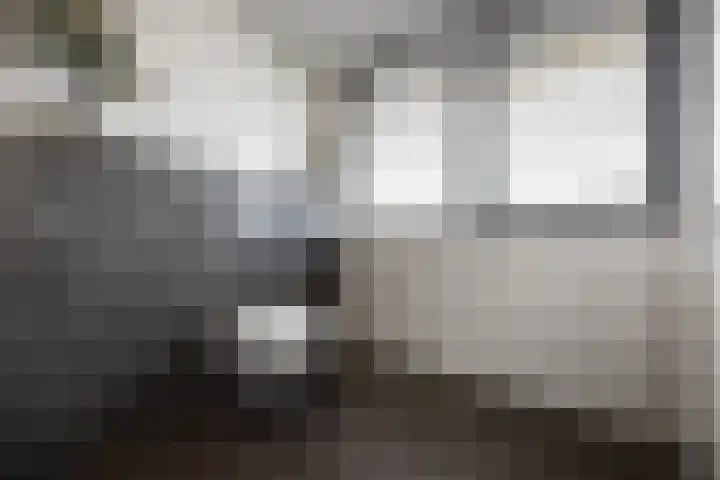Pepersgoed 12 Putten thumbnail 31