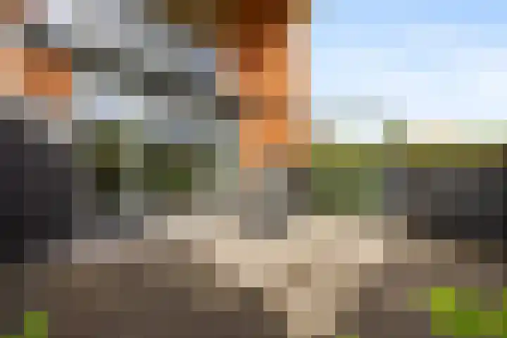 Pepersgoed 12 Putten thumbnail 34