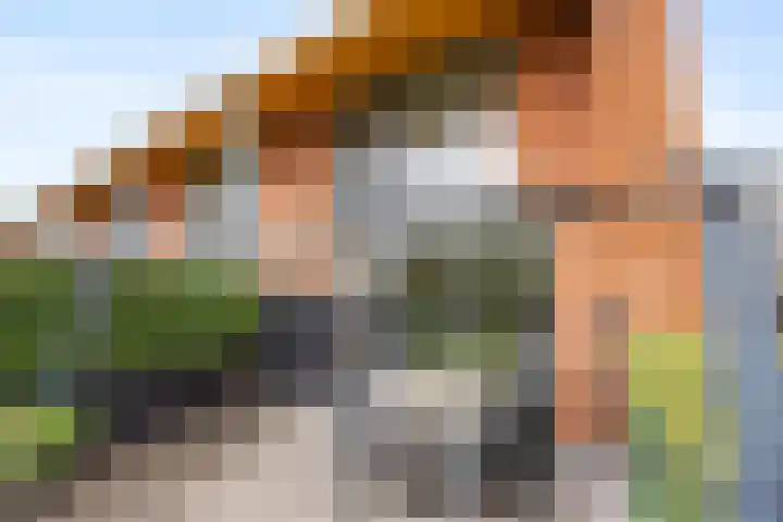 Pepersgoed 12 Putten thumbnail 35