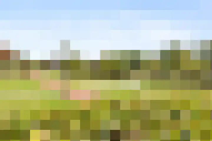 Pepersgoed 12 Putten thumbnail 37