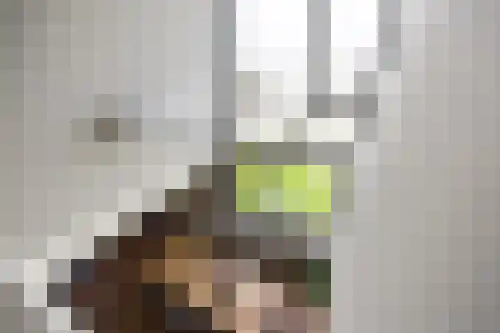 Pepersgoed 12 Putten thumbnail 4