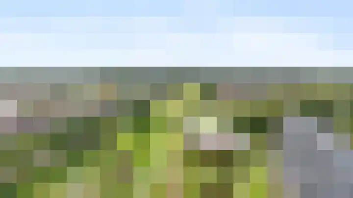 Pepersgoed 12 Putten thumbnail 40