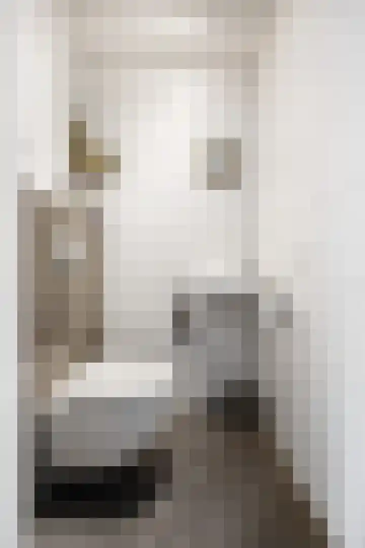 Pepersgoed 12 Putten thumbnail 7