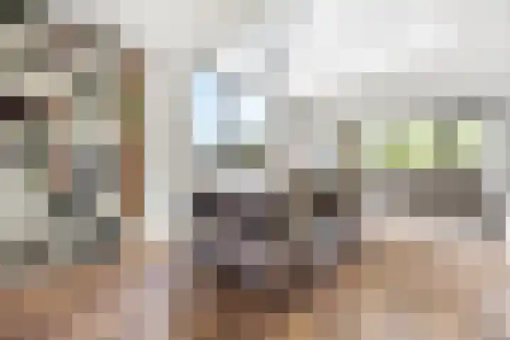 Pepersgoed 12 Putten thumbnail 8