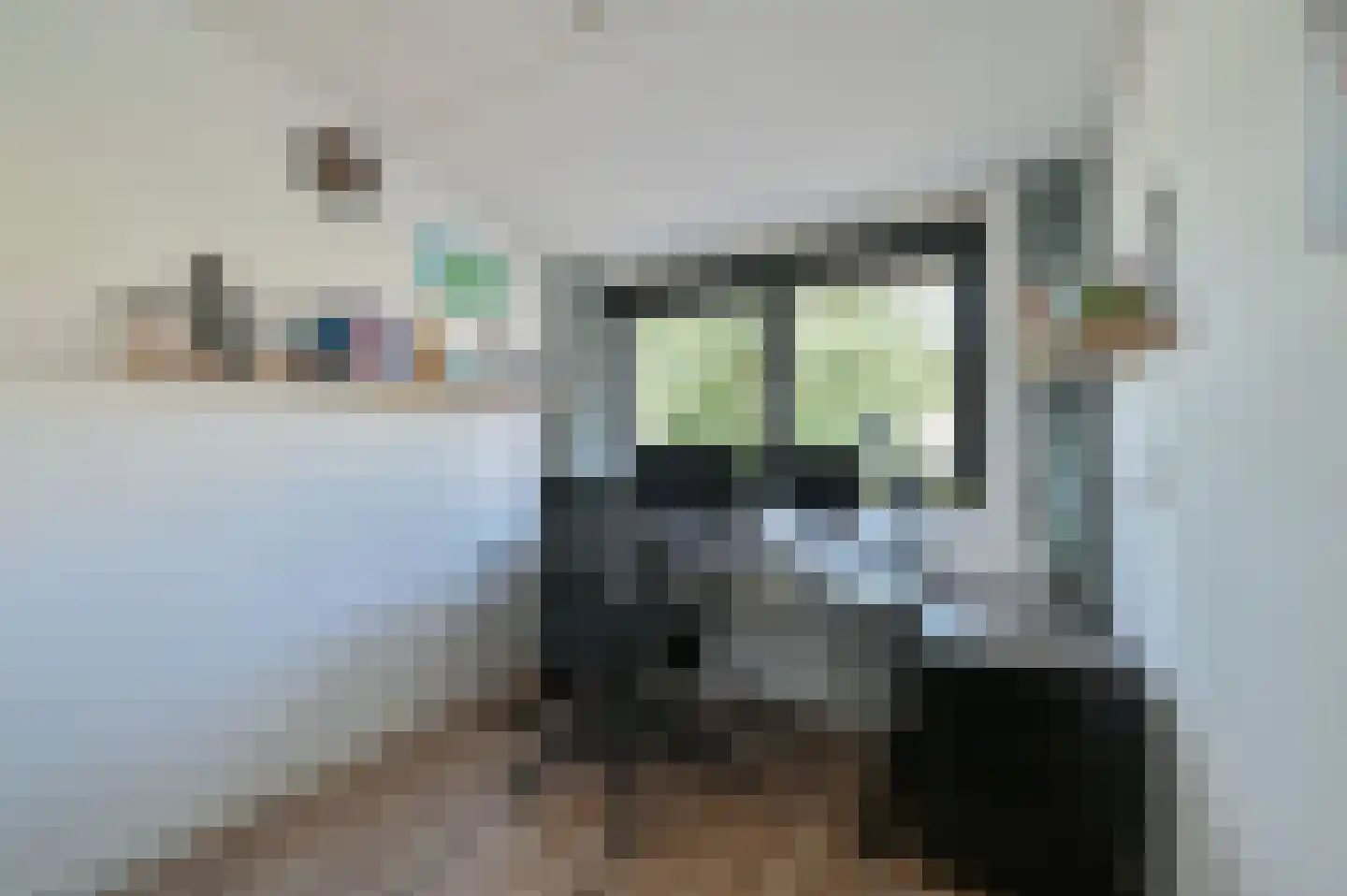 Pepersgoed 4 Putten thumbnail 20
