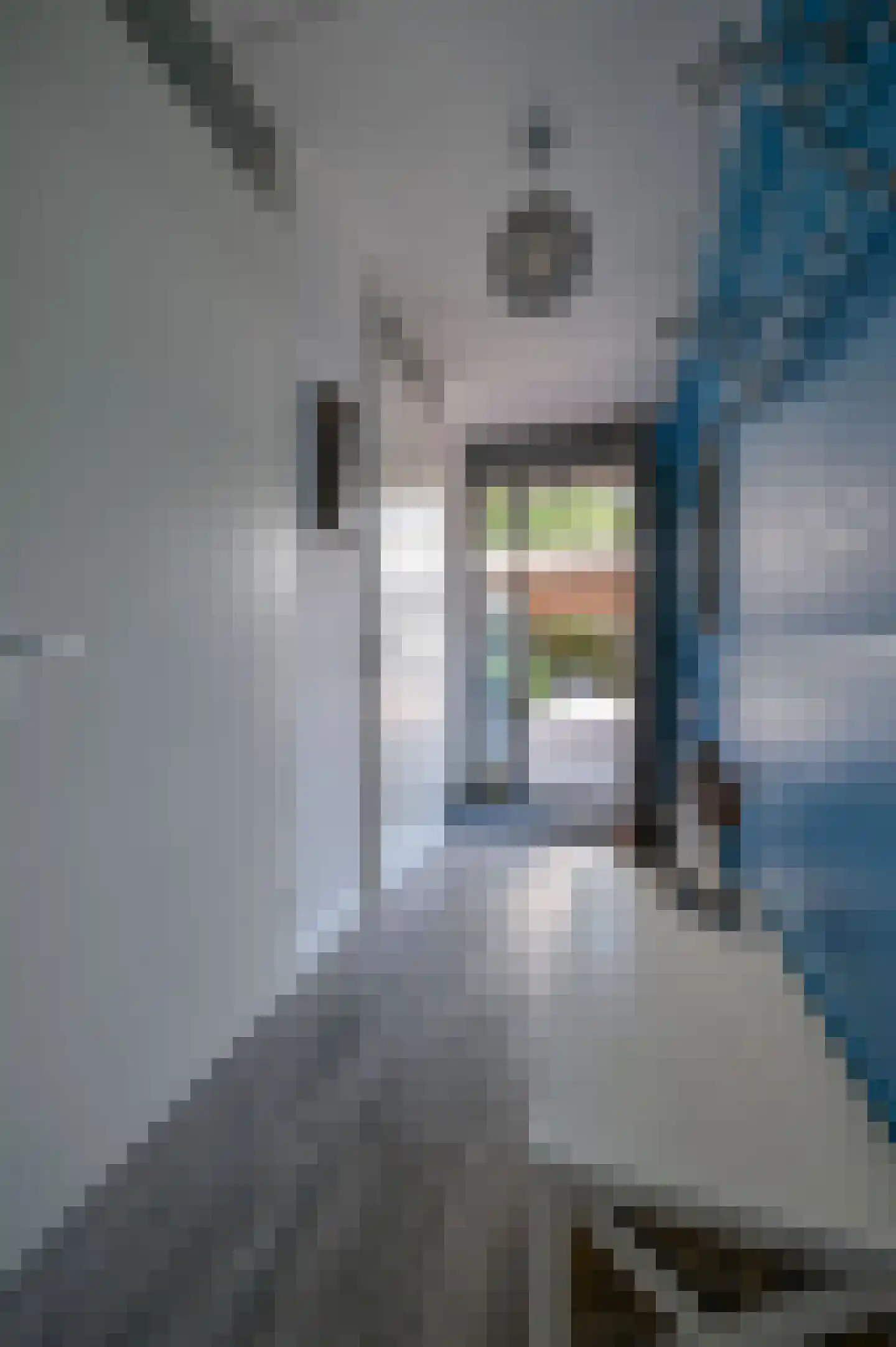 Pepersgoed 4 Putten thumbnail 6