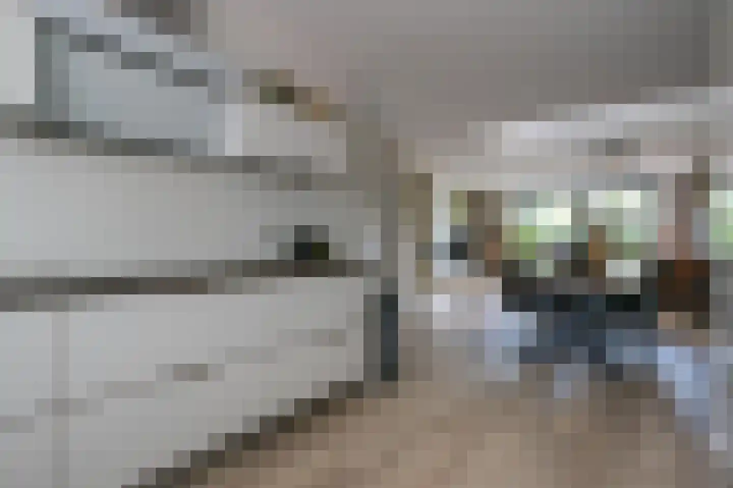 Pepersgoed 6 Putten thumbnail 15
