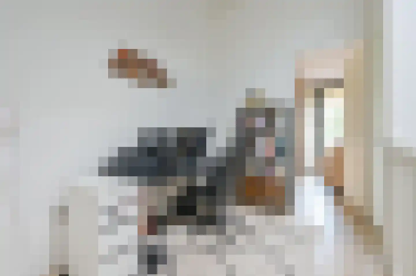 Pepersgoed 6 Putten thumbnail 17