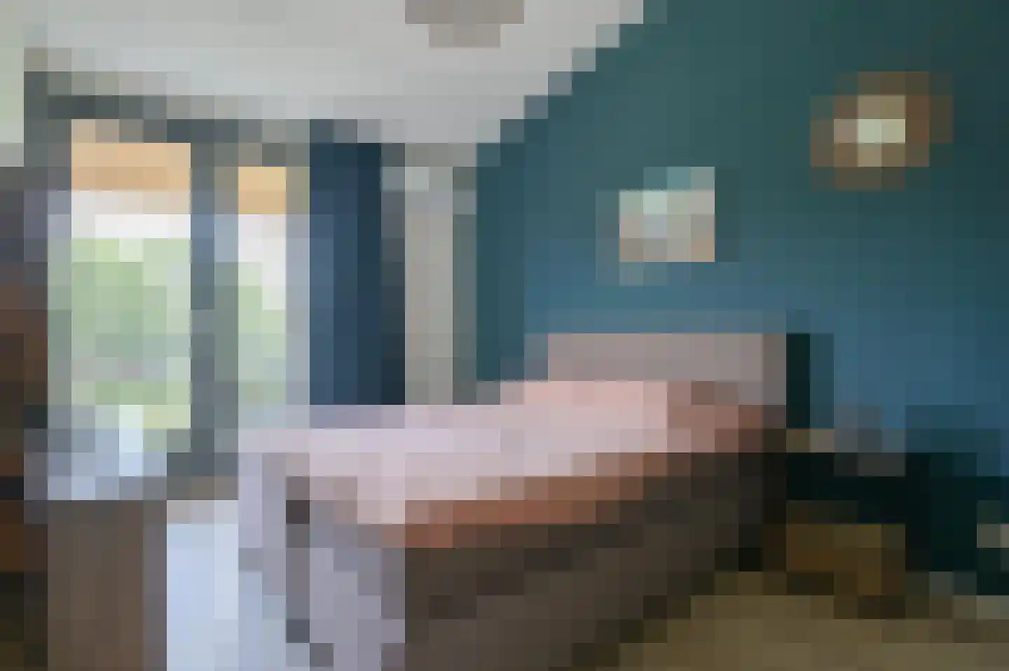 Pepersgoed 6 Putten thumbnail 18