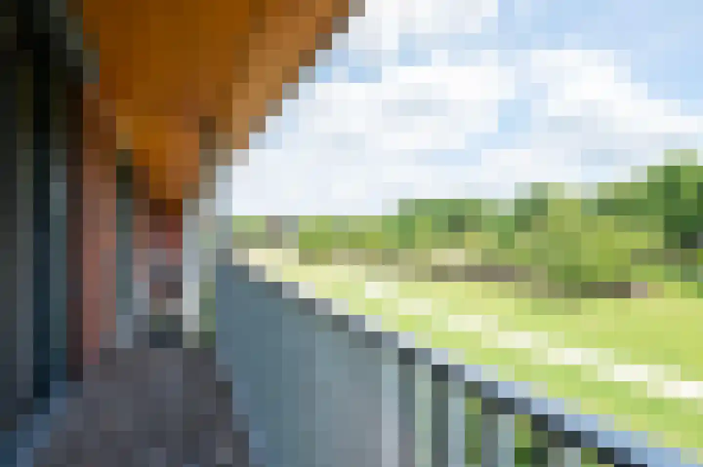Pepersgoed 6 Putten thumbnail 20