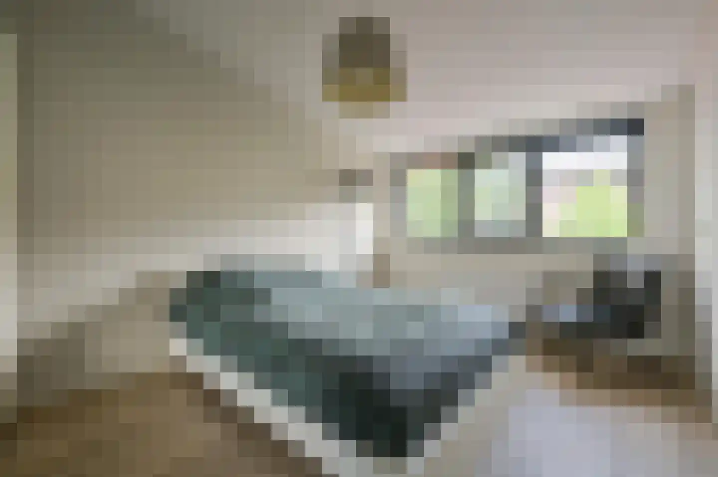 Pepersgoed 6 Putten thumbnail 21