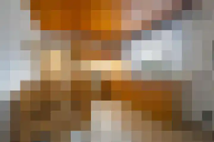 Peperstraat 10 Grevenbicht thumbnail 6